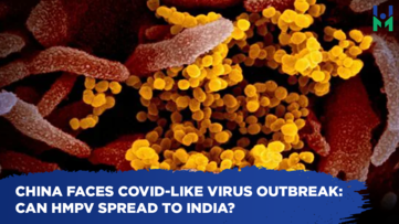 China faces Covid-like virus outbreak: Can HMPV spread to India? Here’s what we know